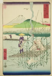Sagami River (Sagamigawa), från serien "Thirty-six Views of Mount Fuji (Fuji sanjurokkei)"