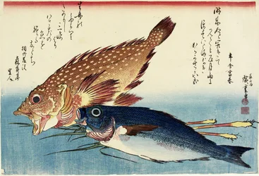Skorpionfisk, kycklinggrunt och ingefäraskott, ca. 1832