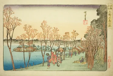 Shinobazu Pond vid Kami no Shinobazu Pond, från Teseries