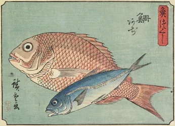 Snapper och taggmakrill, 1830-1844