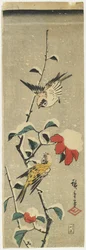Sparrows and Snowy Camellia, 1837-1848