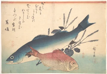 Suzuki- och kinmedaifiskar ur serien Uozukushi (Alla sorters fisk)