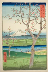 The Outskirts of Koshigaya in Musashi Province (Musashi Koshigaya zai), från serien "Thirty-six Views of Mount Fuji (Fuji sanjurokkei)"