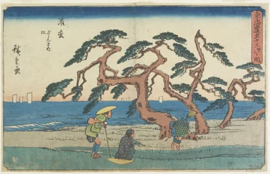 Pinefältet i Hamamatsu, 1841-1842