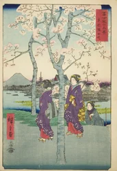 Sumida-vallen i den östra huvudstaden (Toto Sumida-zutsumi), från serien "Trettiosex utsikter över berget Fuji (Fuji sanjurokkei)"