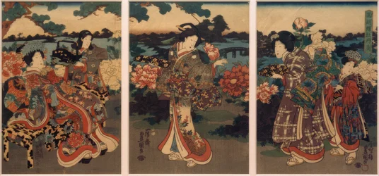 Fjärilar och pioner