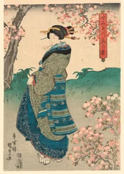 Kvinna som tittar på körsbärsblommor på stranden av floden Sumida (Sumidagawa hana no kei)