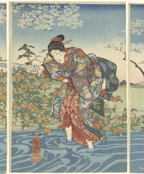Ide Tama River i Yamashiro provinsen