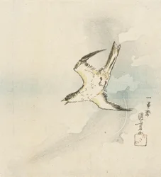 Japansk gök