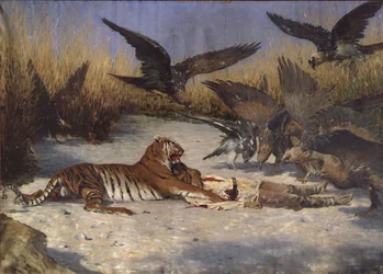 En människoätare, 1870-1880-talen