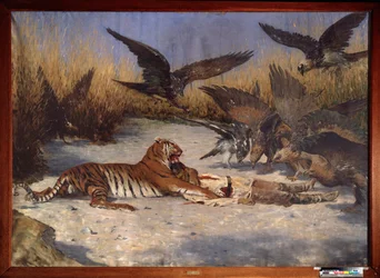 En människoätare - Målning av Vasili Vasilyevich Vereshchagin (Vassili Vereshchagin) (1842-1904), olja på duk, cirka 1870-1880, rysk konst 1800-talet - Regionala W Wereshchagin Art Museum, Mykolaiv (Ukraina)