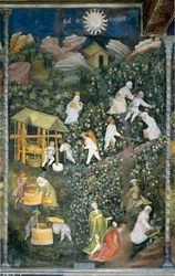 Oktober: skördeplats, skörd av druvor och beredning av mout (vinpressning). Målning av Månadernas Mästare eller Mästare Wenceslas (Maestro dei Mesi eller Maestro Wenceslao på italienska, början av 1400-talet) restaurerade av Marcello Fogolino ca.
