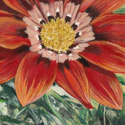 Ljus orange blomma