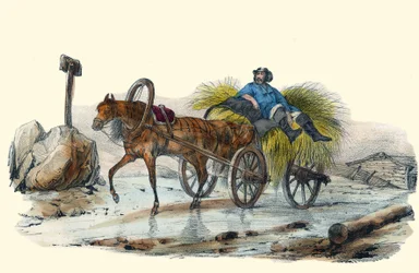 Le Paysan Russe. i "" Album Grotesque, Choices of Outstanding Types", illustrationer av Victor Adam, Paris, cirka 1850.