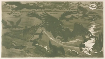 Rovfåglar, 1893.