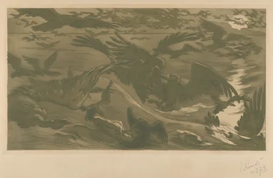Rovfåglar, 1893.