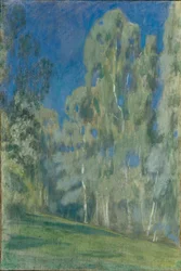 Björkar vid middagstid, 1903