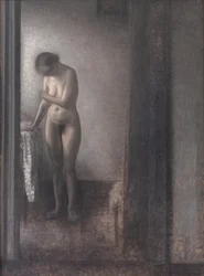 Stående Kvinna Naken