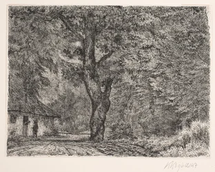 Huset i skogen