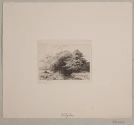 Kanten av en skog
