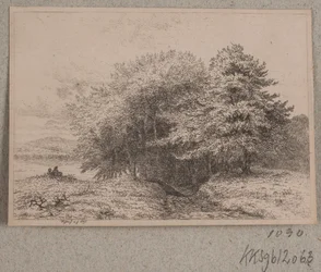 Kanten av en skog