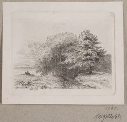 Kanten av en skog
