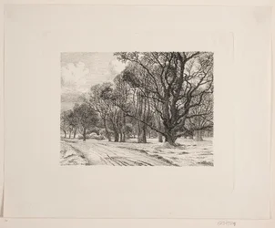Vinter i skogen