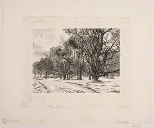 Vinter i skogen