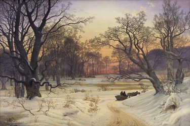 Vinternatt i en skog