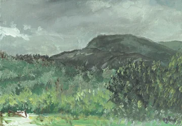 Hills at Creagdugh, 2006