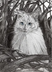 Jungle Monty, 2015, (bläck på papper)