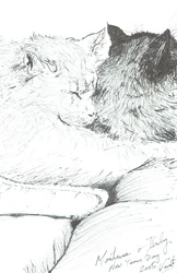 Montwee and Baby nyår 2005, 2005