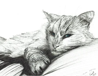 Monty,tupplur, 2016, (bläck på papper)