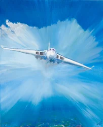 White Vulcan, 2016,