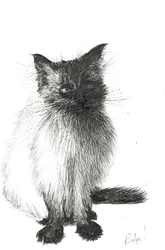 Ung bebis, 2004