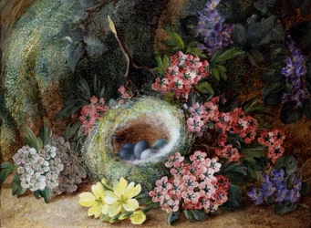 Fågelbo med blommor och primula. Målning av Vincent Clare (ca 1855-1930) Privat samling.