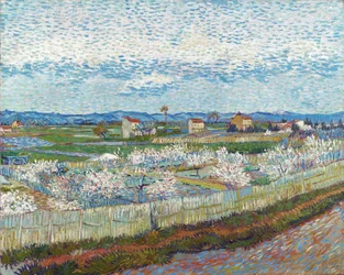 Persikaträd i blom, 1889.