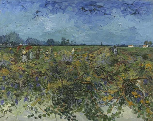 Den gröna vingården, 1888.