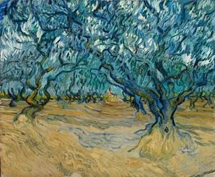 Olivlunden, Saint-Rémy, 1889.