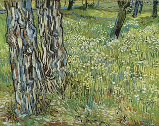 Trädstammar i gräset, 1890