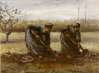Två bondkvinnor som gräver potatis, 1885.