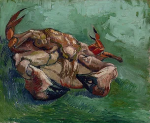 A Crab on its Back av Gogh, Vincent, van (1853-1890). Olja på duk, storlek: 38x46,8