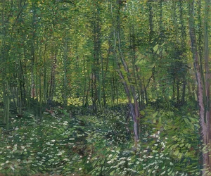 Träd och undervegetation. 1887