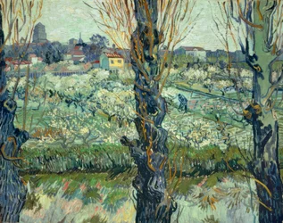 Utsikt över Arles
