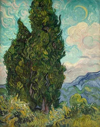 Cypresser