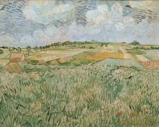 Slätten vid Auvers med regnmoln