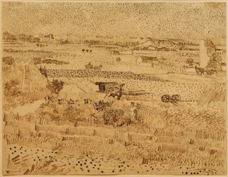 Skörd i Provence