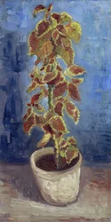 Flame Nettle in a Flowerpot par Gogh, Vincent, van (1853-1890). Olja på duk, storlek: 42,1x21,9
