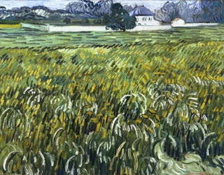 Hus i Auvers