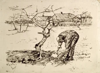 I fruktträdgården 1883